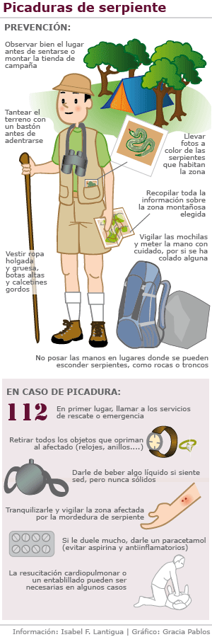 Infografía: Cómo actuar ante picaduras de serpiente