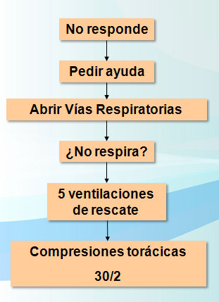 Secuencia de actuacion niño incosciente