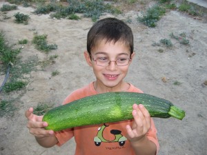 niño calabacín