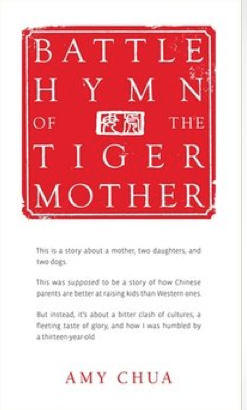 portada libro madre tigre